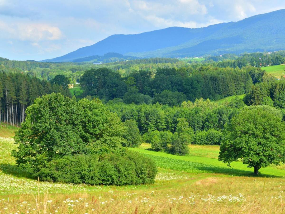 Comfort Apartment With Balcony In The Beautiful Bavarian Forest Drachselsried Quarto foto