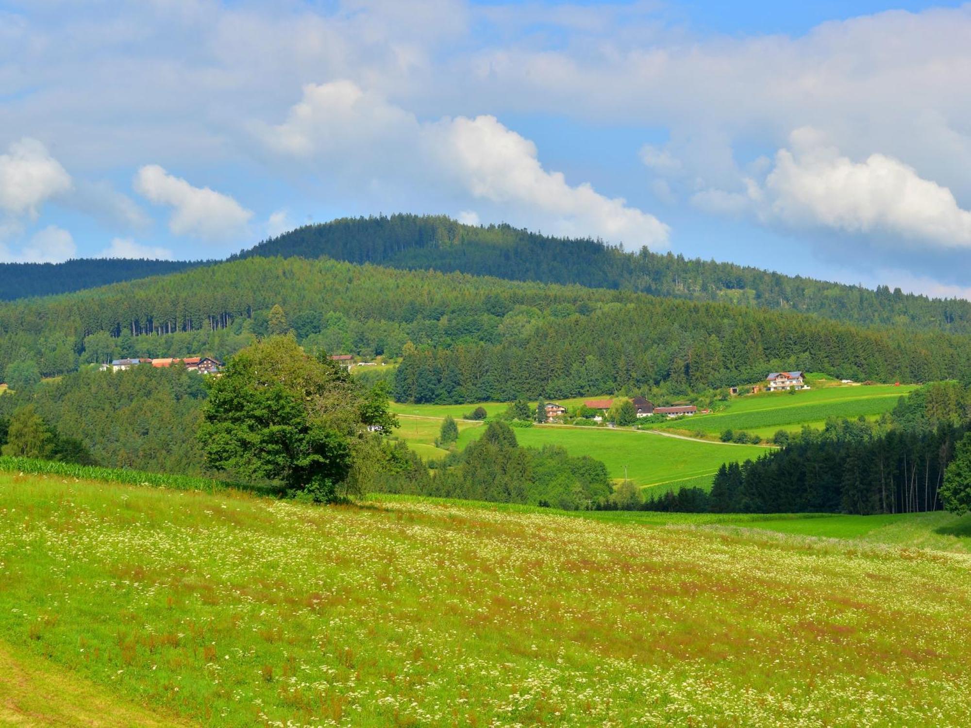 Comfort Apartment With Balcony In The Beautiful Bavarian Forest Drachselsried Exterior foto