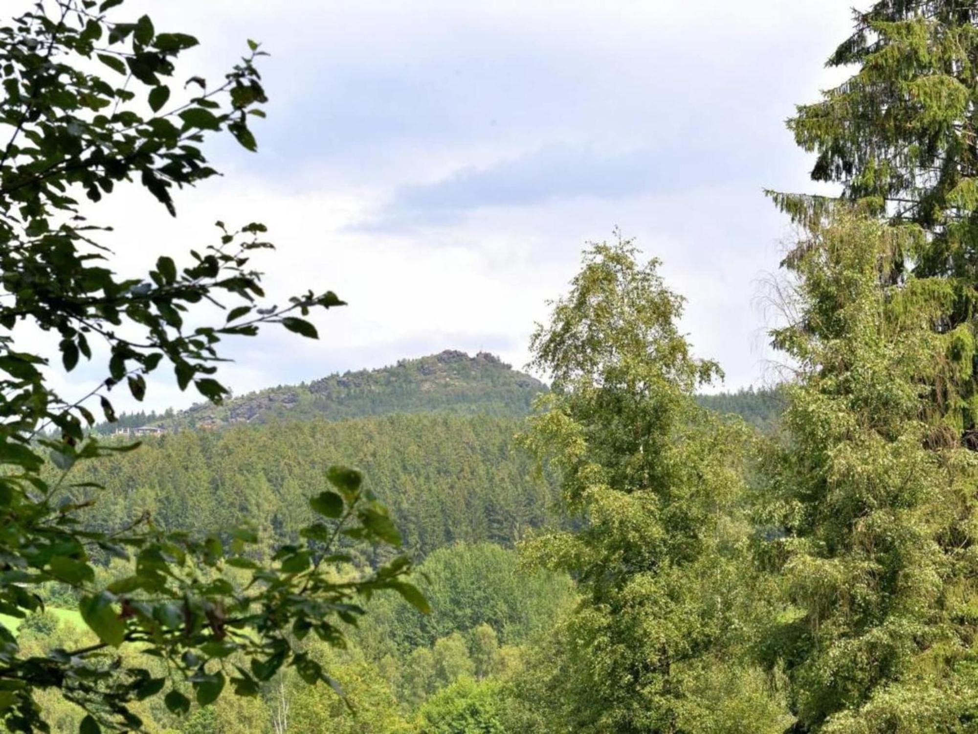 Comfort Apartment With Balcony In The Beautiful Bavarian Forest Drachselsried Exterior foto