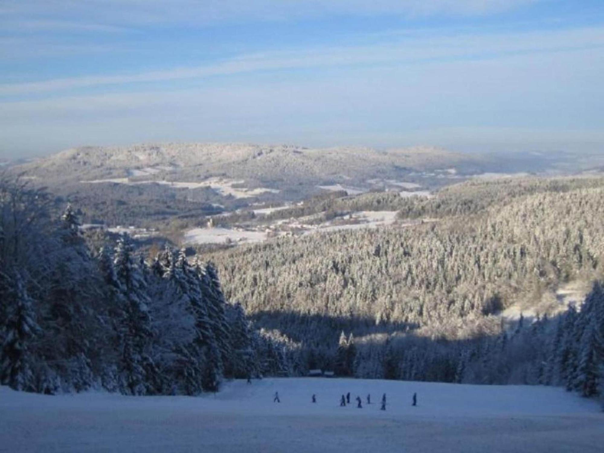 Comfort Apartment With Balcony In The Beautiful Bavarian Forest Drachselsried Exterior foto